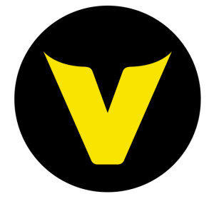 logo V